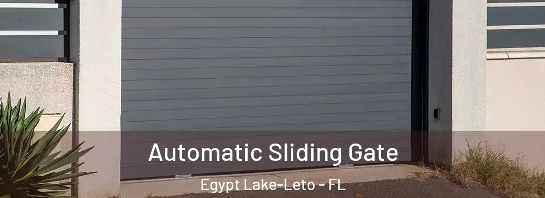  Automatic Sliding Gate Egypt Lake-Leto - FL