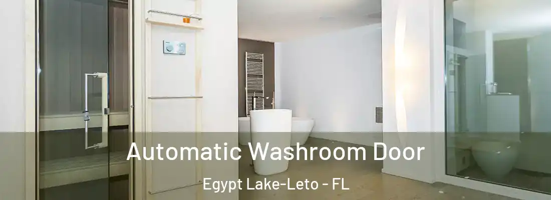 Automatic Washroom Door Egypt Lake-Leto - FL