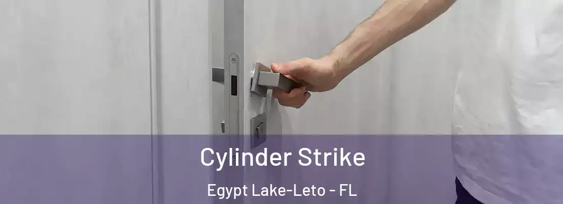  Cylinder Strike Egypt Lake-Leto - FL