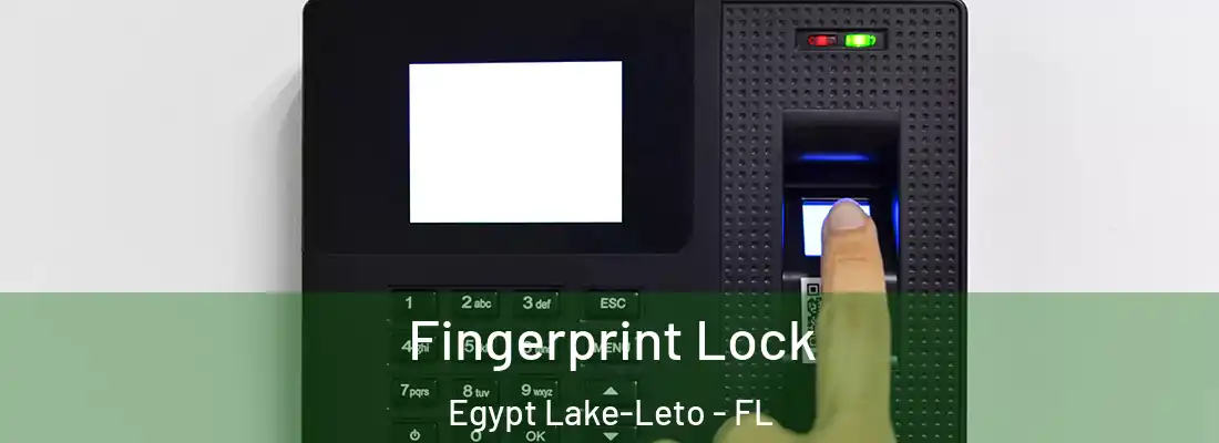  Fingerprint Lock Egypt Lake-Leto - FL