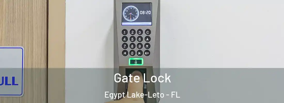  Gate Lock Egypt Lake-Leto - FL