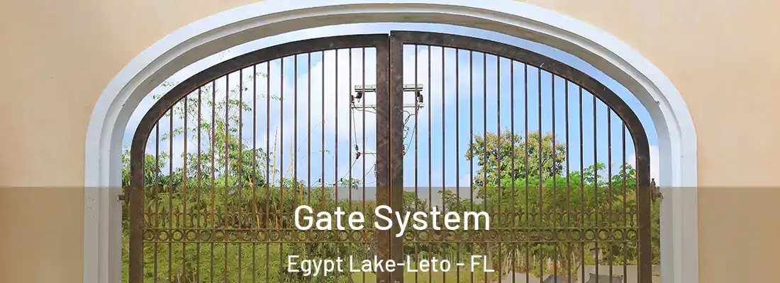  Gate System Egypt Lake-Leto - FL