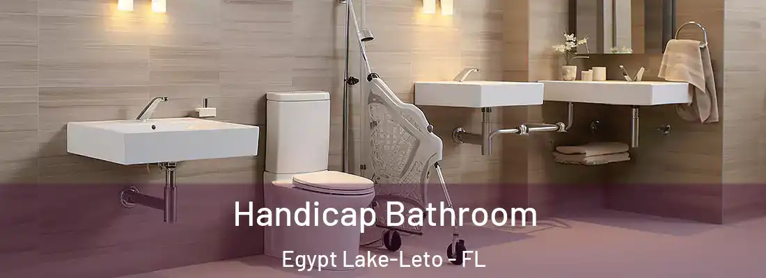 Handicap Bathroom Egypt Lake-Leto - FL