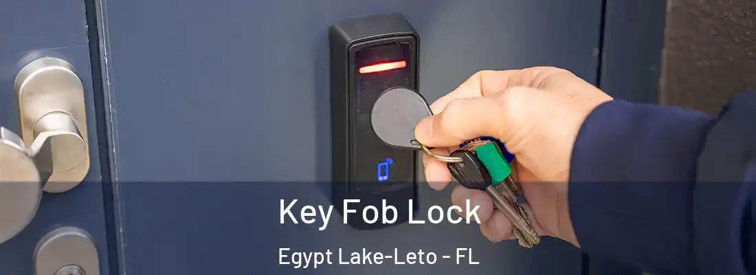  Key Fob Lock Egypt Lake-Leto - FL