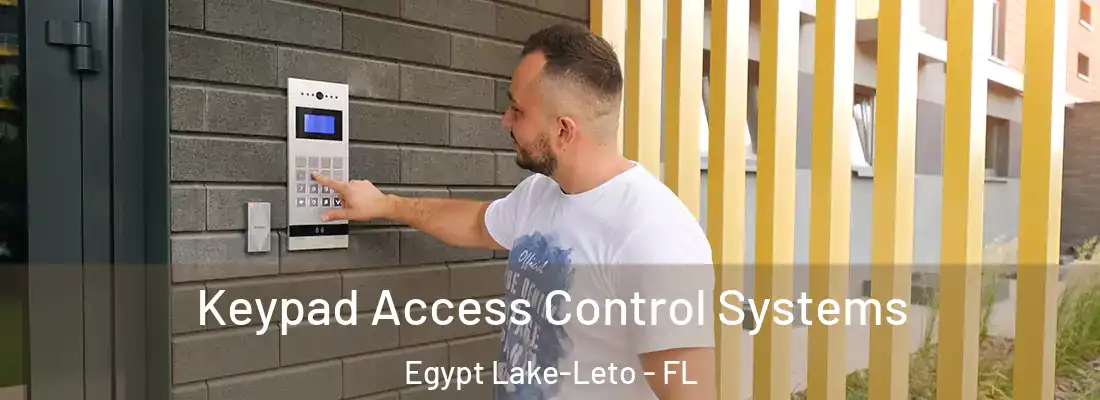  Keypad Access Control Systems Egypt Lake-Leto - FL