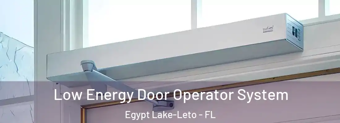 Low Energy Door Operator System Egypt Lake-Leto - FL