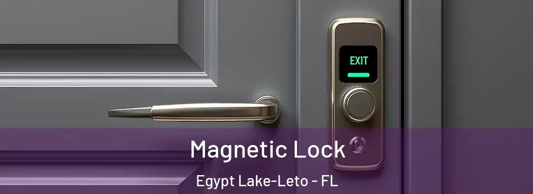  Magnetic Lock Egypt Lake-Leto - FL