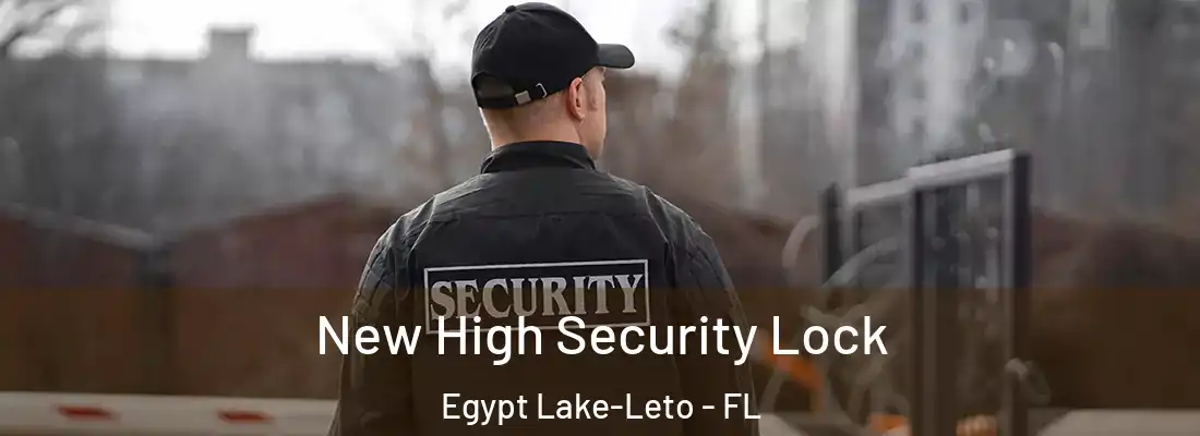  New High Security Lock Egypt Lake-Leto - FL