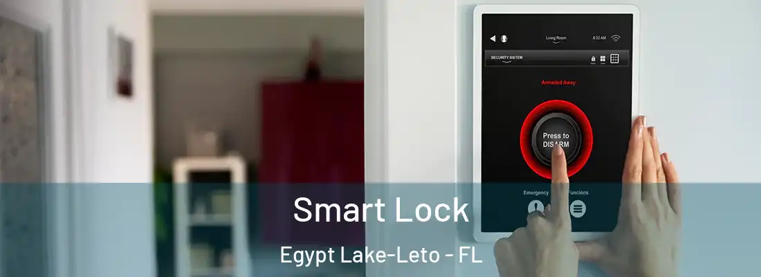  Smart Lock Egypt Lake-Leto - FL
